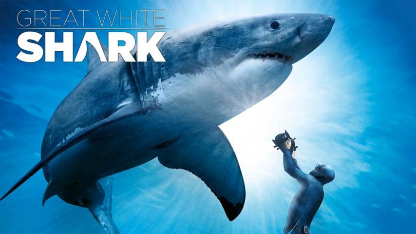 مشاهدة فيلم Great White Shark 2013 مترجم