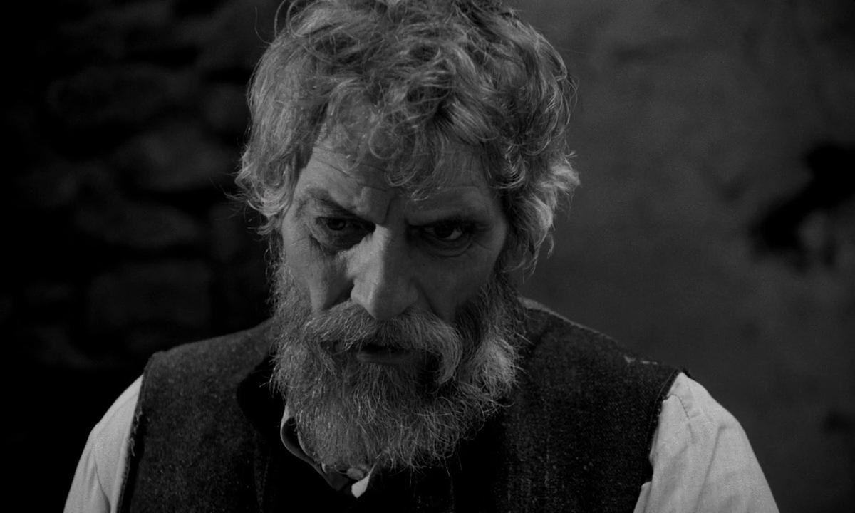 مشاهدة فيلم The Turin Horse 2011 مترجم