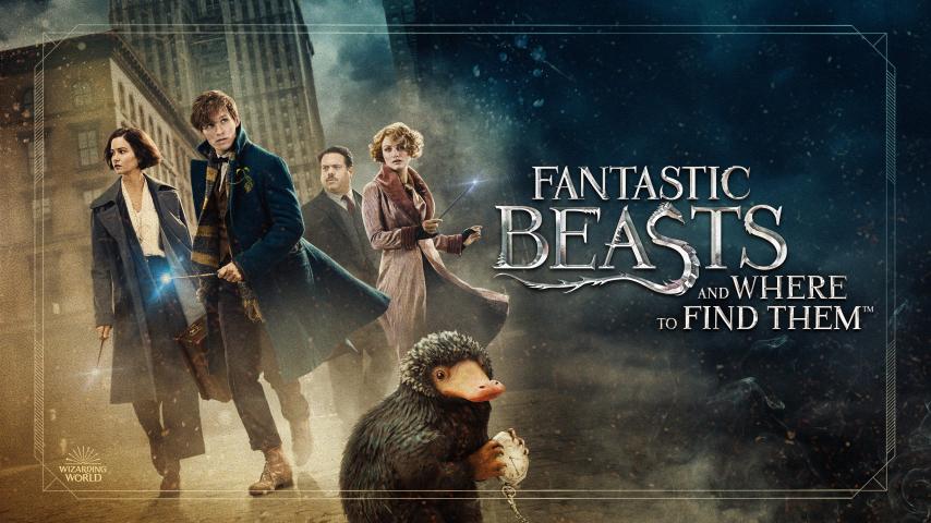 مشاهدة فيلم Fantastic Beasts and Where to Find Them 2016 مترجم