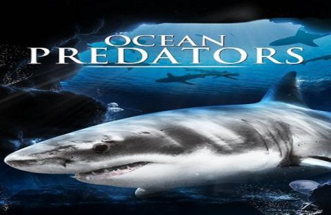 مشاهدة فيلم Ocean Predators 2013 مترجم