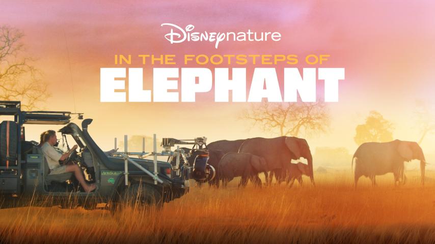 مشاهدة فيلم In the Footsteps of Elephant 2020 مترجم