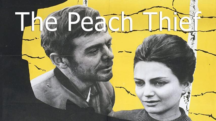 مشاهدة فيلم The Peach Thief 1964 مترجم