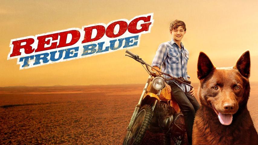 مشاهدة فيلم Red Dog: True Blue 2016 مترجم