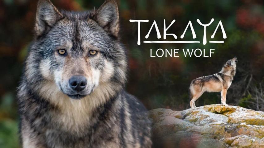 مشاهدة فيلم Takaya, Lone Wolf 2019 مترجم