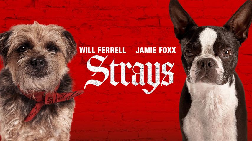 مشاهدة فيلم Strays 2023 مترجم