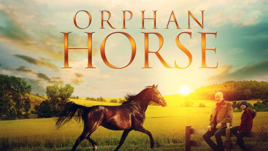 مشاهدة فيلم Orphan Horse 2018 مترجم