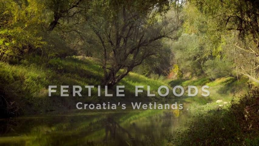 مشاهدة فيلم Fertile Floods: Croatia's Wetlands 2018 مترجم