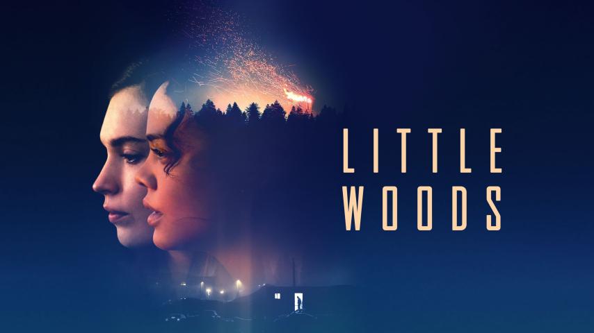 مشاهدة فيلم Little Woods 2018 مترجم