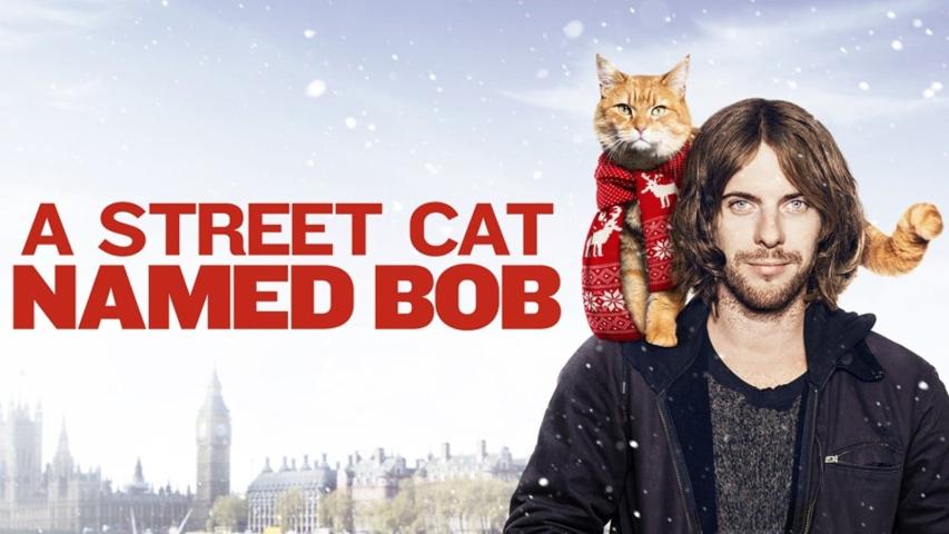 مشاهدة فيلم A Street Cat Named Bob 2016 مترجم