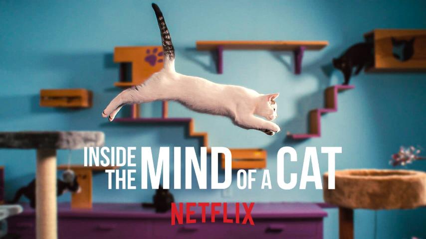 مشاهدة فيلم Inside the Mind of a Cat 2022 مترجم