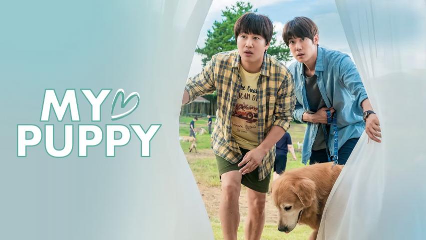 مشاهدة فيلم My Heart Puppy 2023 مترجم