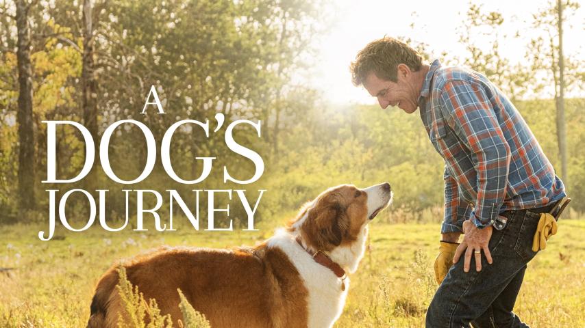 مشاهدة فيلم A Dog's Journey 2019 مترجم