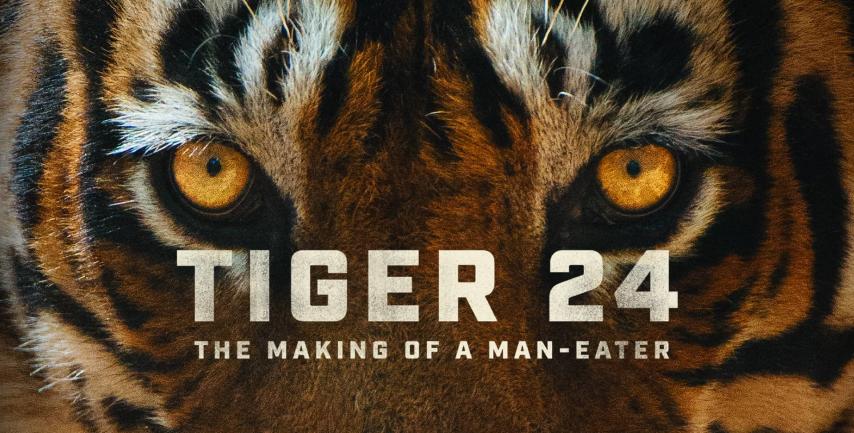 مشاهدة فيلم Tiger 24 2022 مترجم