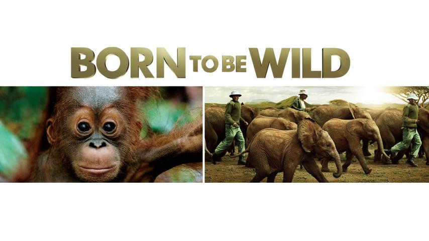 مشاهدة فيلم Born to Be Wild 2011 مترجم