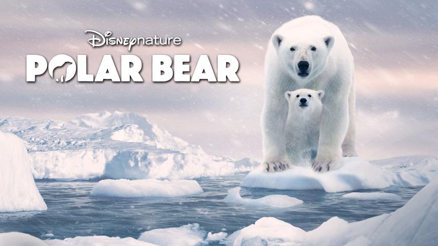 مشاهدة فيلم Polar Bear 2022 مترجم